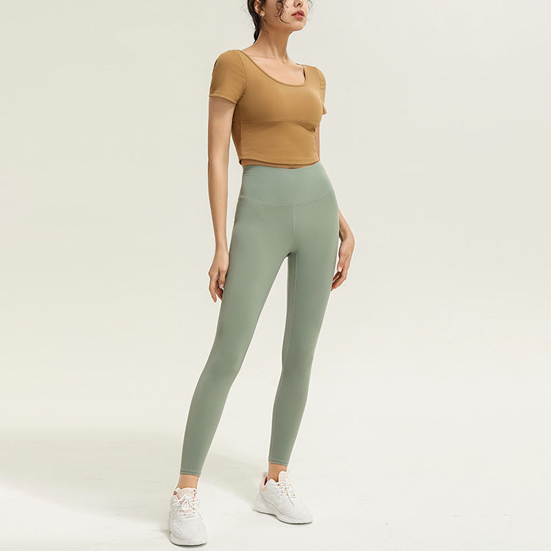 ロータスバックトップ 2643