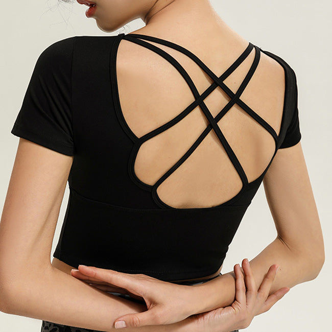 ロータスバックトップ 2643