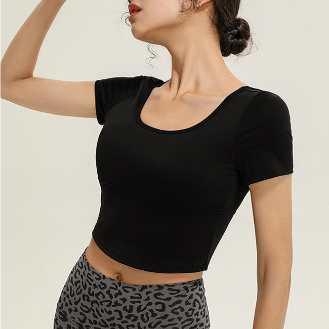 ロータスバックトップ 2643