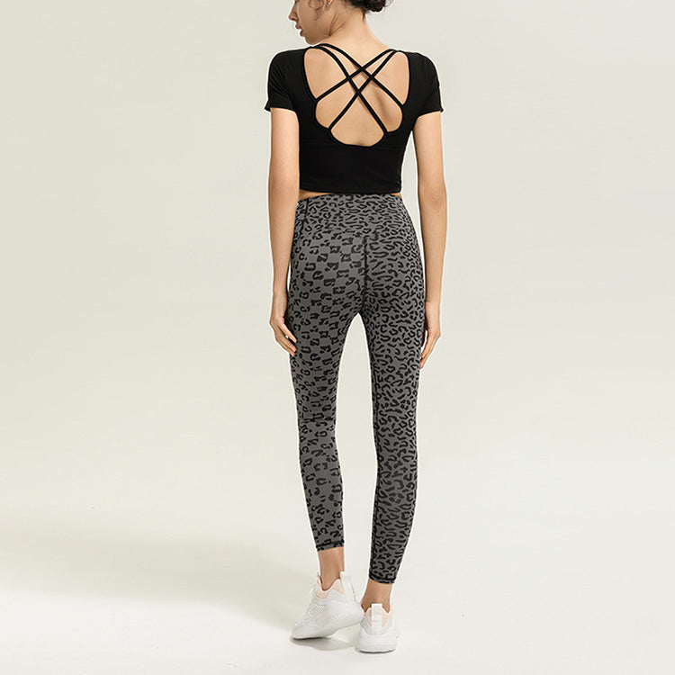 ロータスバックトップ 2643