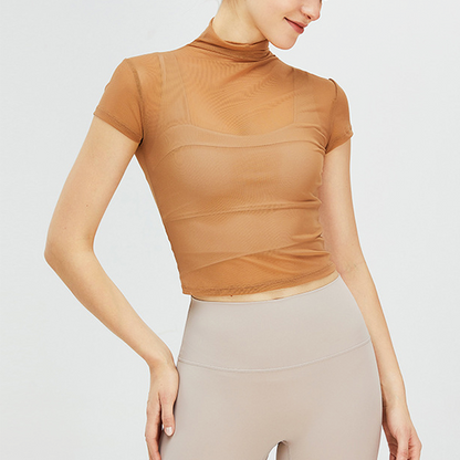 Classic sheer high neck top 2385