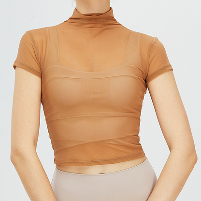 Classic sheer high neck top 2385