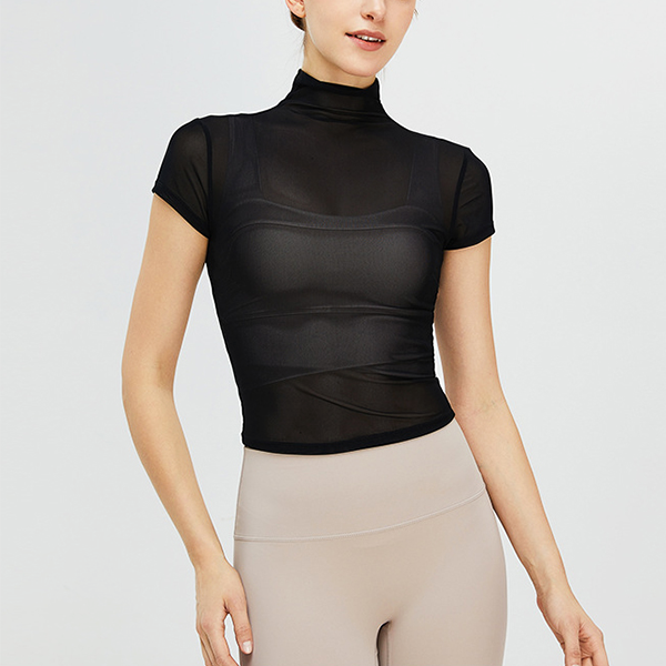 Classic sheer high neck top 2385